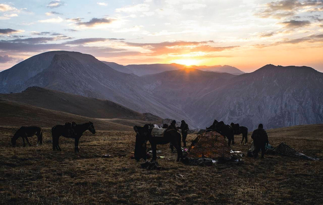 The Hunting Book: Oliver Dorn
