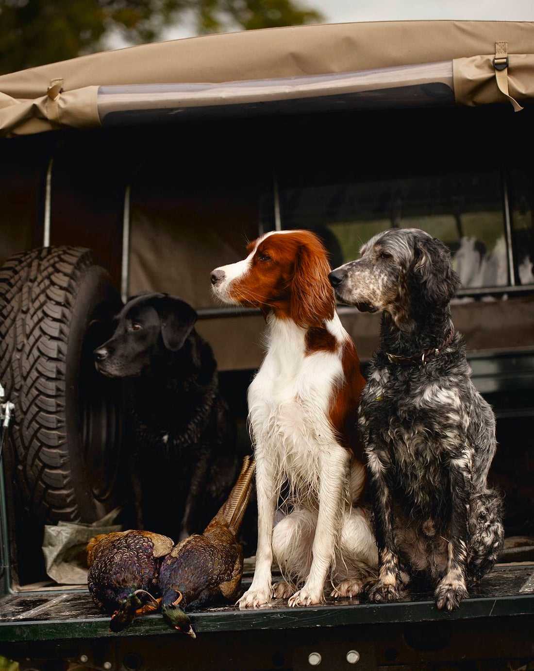 The Hunting Book: Oliver Dorn