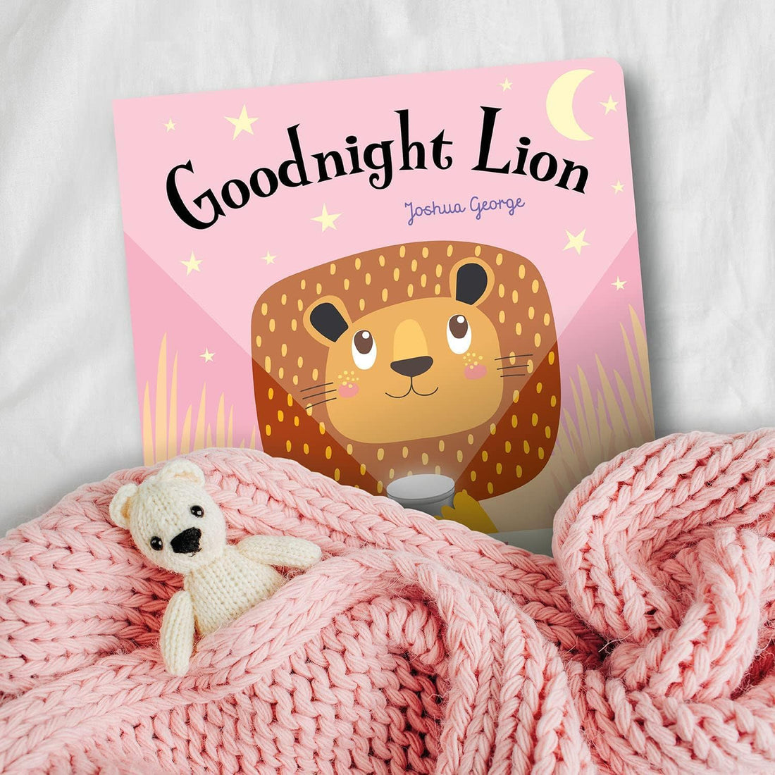 Magic Torch Books: Goodnight Lion