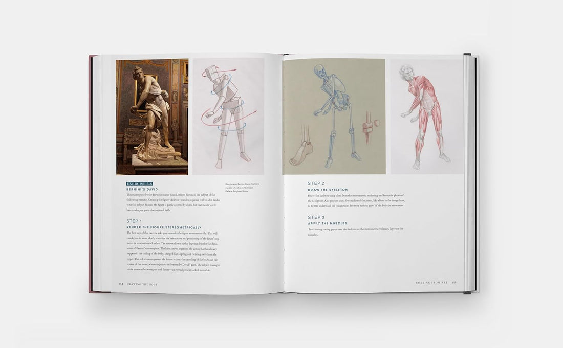 Drawing the Body: Reading the Human Form in Art