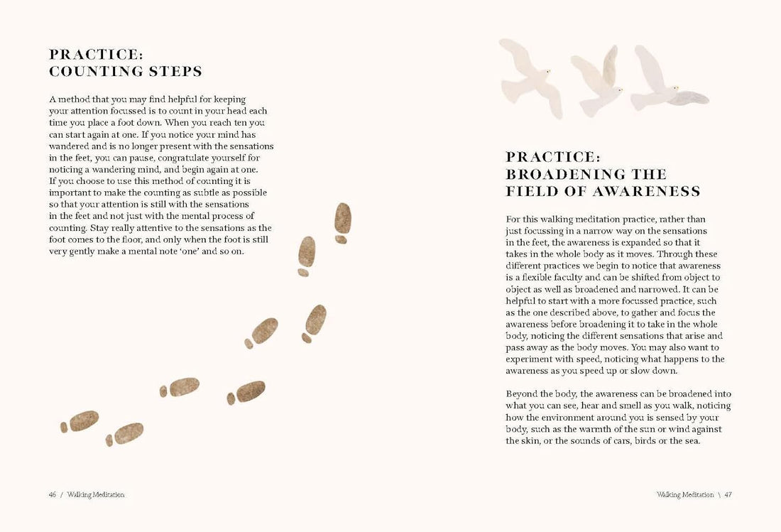 Walk: Find Your Path to Happiness and Mindfulness in Nature