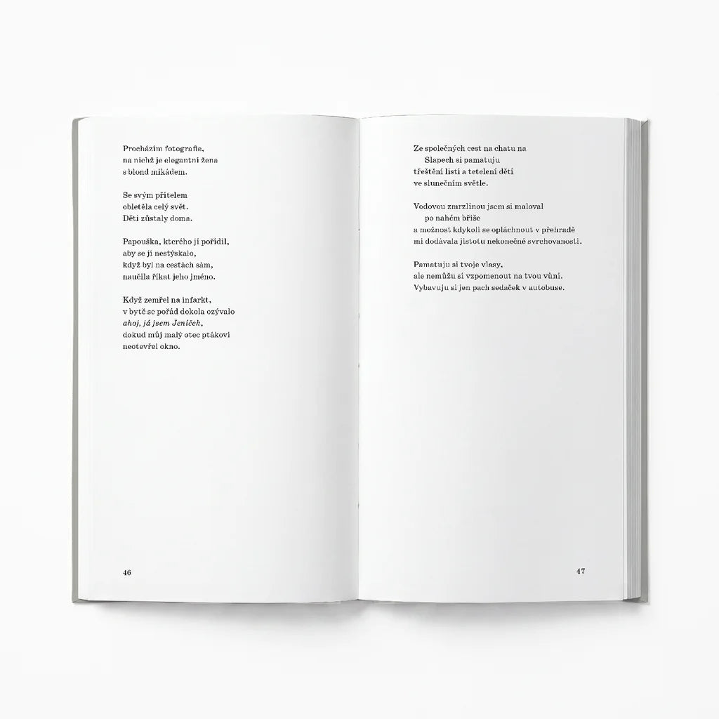 Mami - Jan Musil