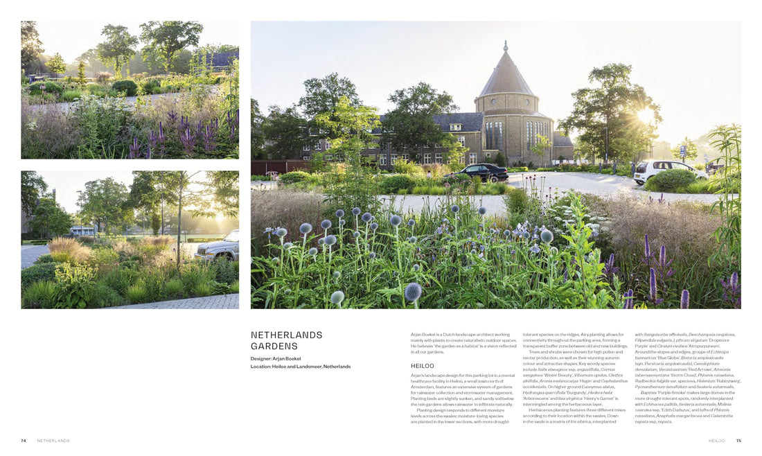 Visionary: Gardens and Landscapes for our Future