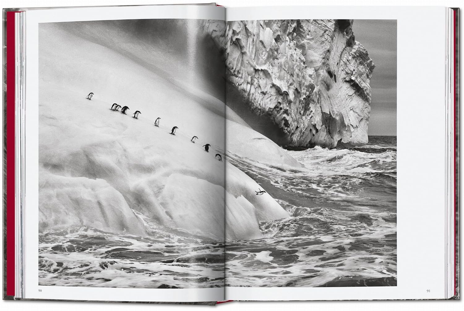 語学+参考書 Sebastiao Salgado. Genesis Amazon | Sebastião Salgado. Genesis (Photography Book) | Salgado