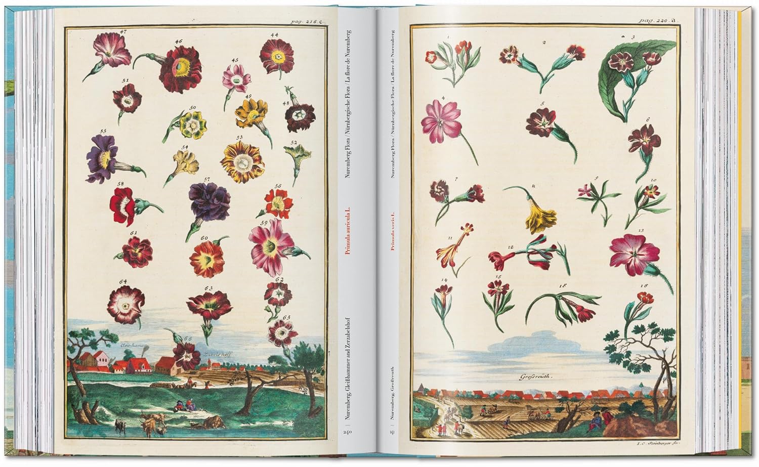 J. C. Volkamer. The Book of Citrus Fruits. 45th Ed.