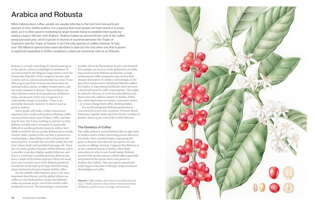 World Atlas of Coffee 3rd edition