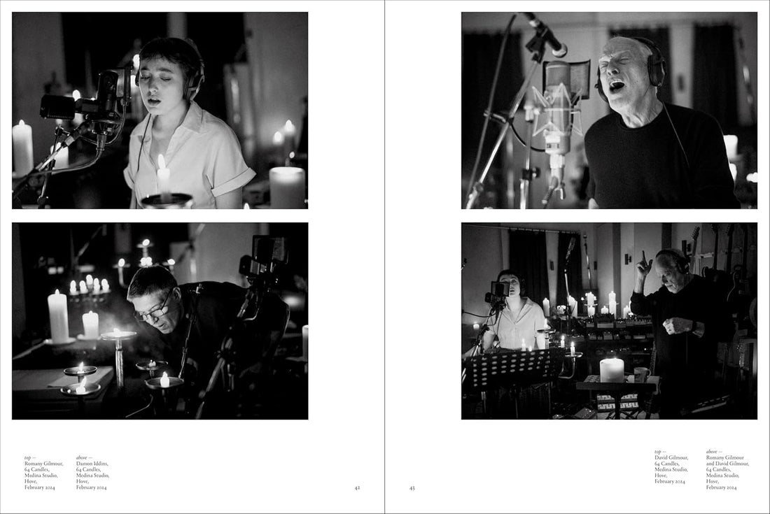 David Gilmour - Luck and Strange - Studio/Live