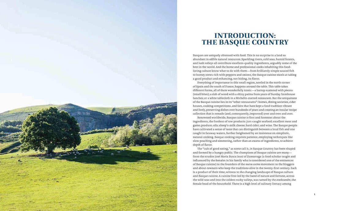 Basque Country: A Culinary Journey Through a Food Lover's Paradise