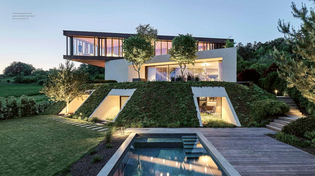 Houses and Cars: Where Dreams Park