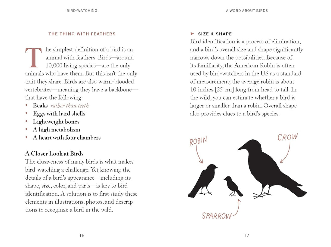 Pocket Nature: Bird-Watching