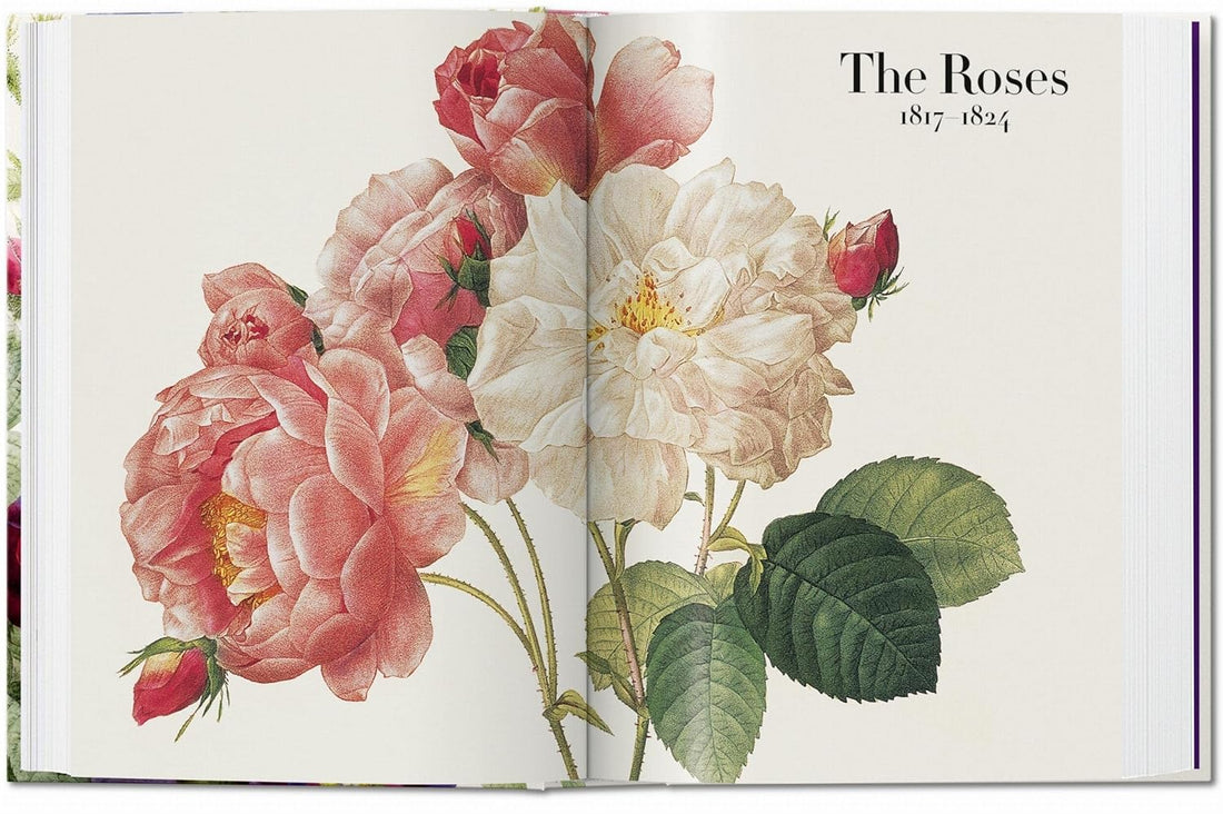 Redouté: The Book of Flowers