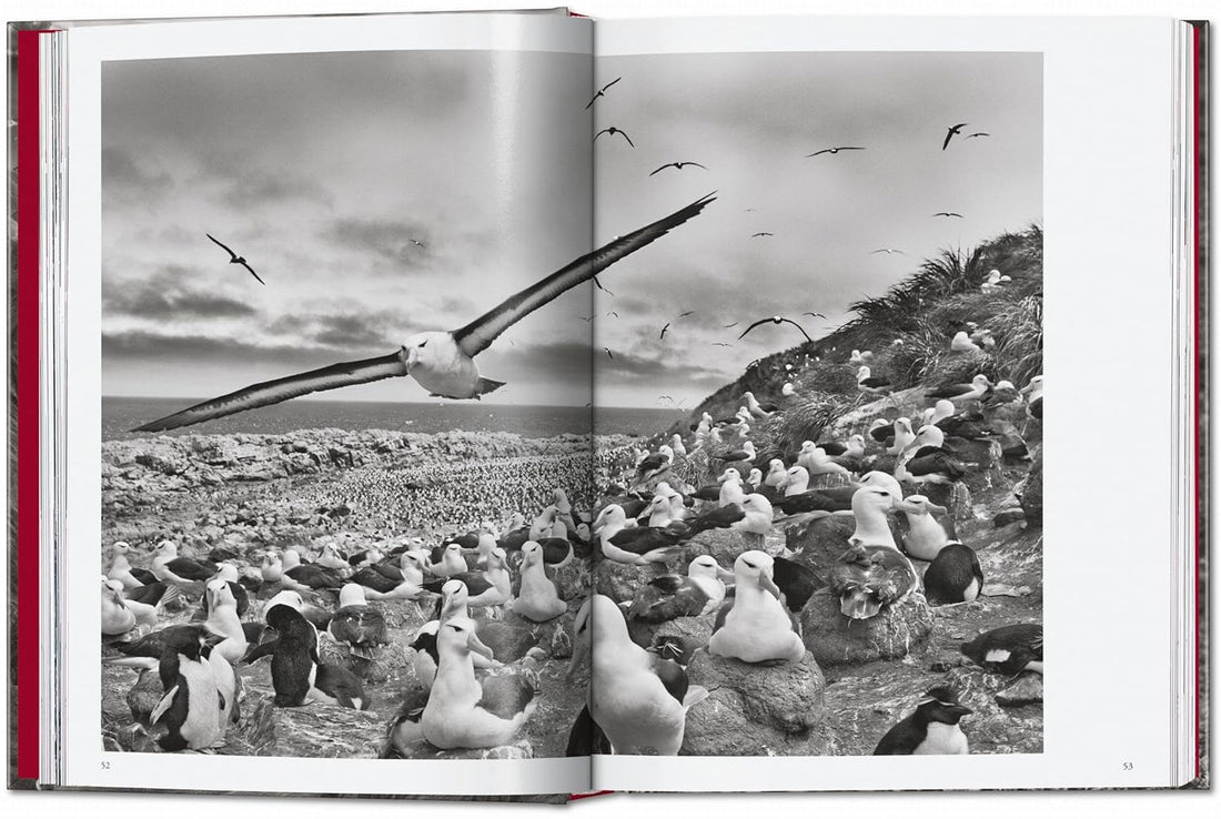 Sebastião Salgado. Genesis. 45th Ed.