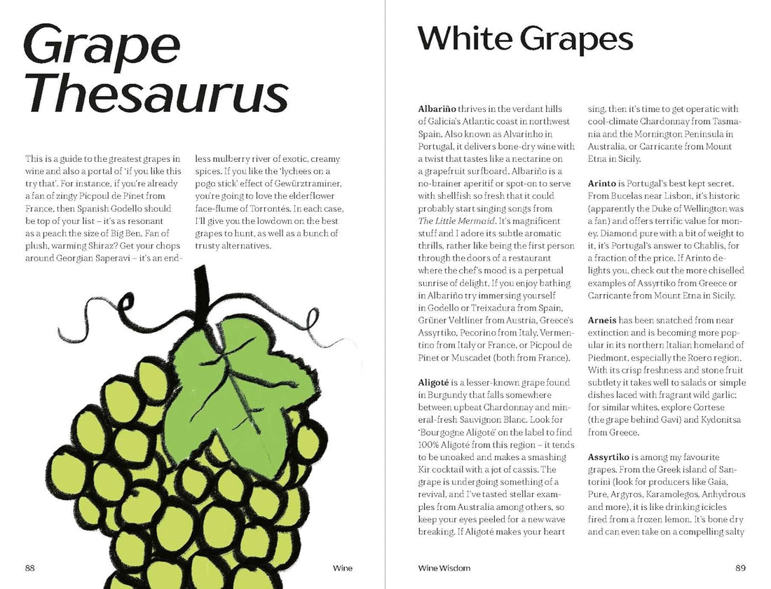 WINE: Everything You Need to Know