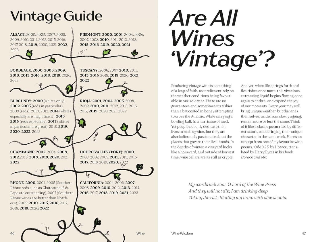 WINE: Everything You Need to Know