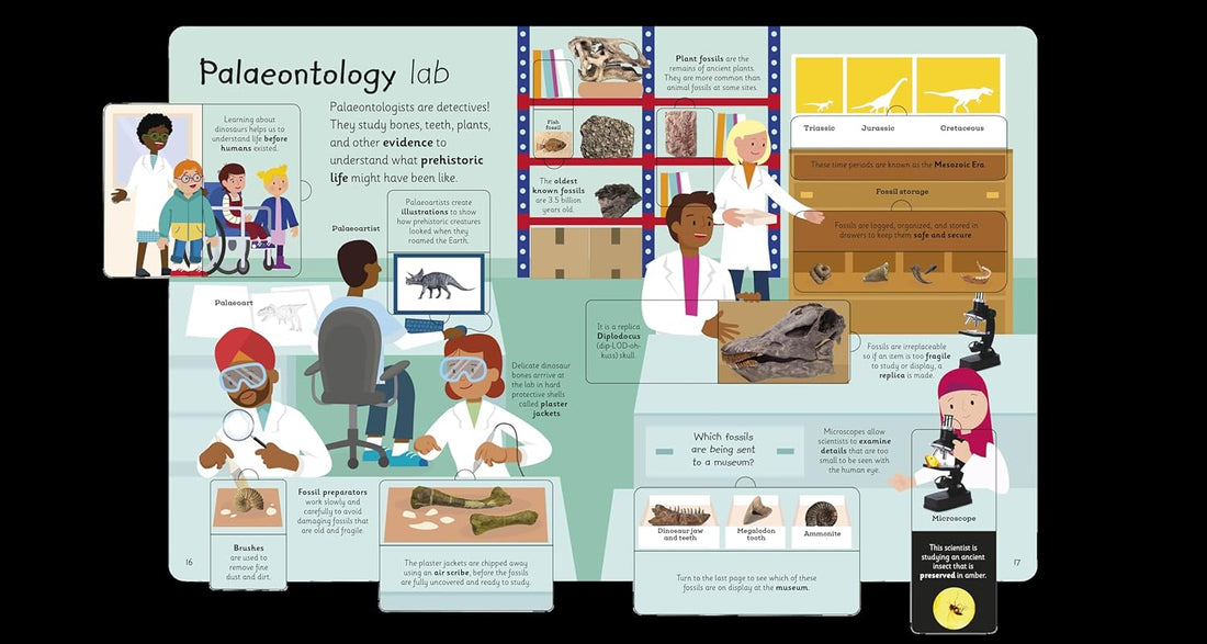 My Very Important Lift-the-Flap-Book: Dinosaurs and other prehistoric life
