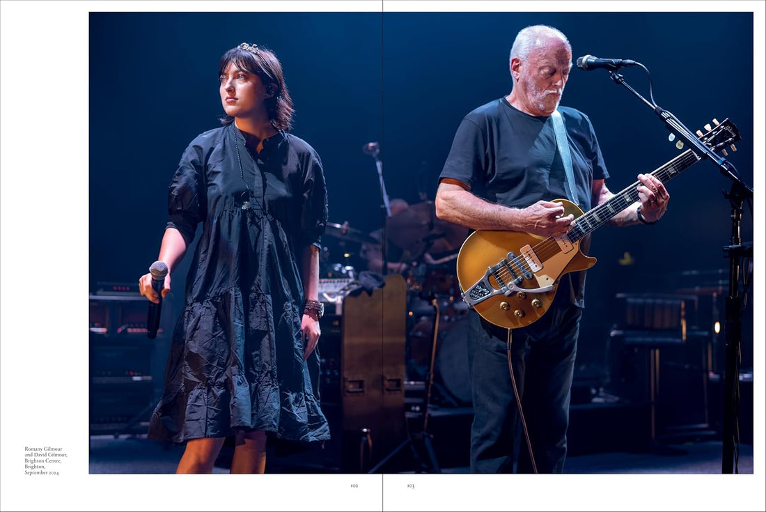 David Gilmour - Luck and Strange - Studio/Live