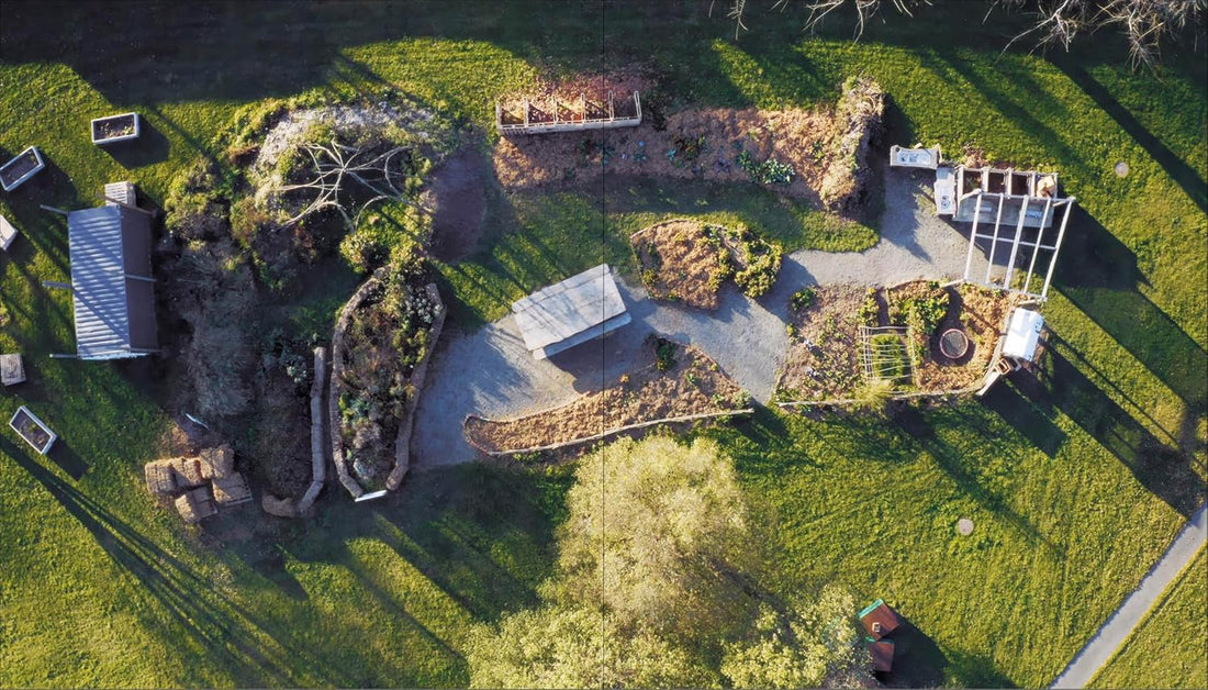 Gardens That Can Save the World - Lottie Delamain