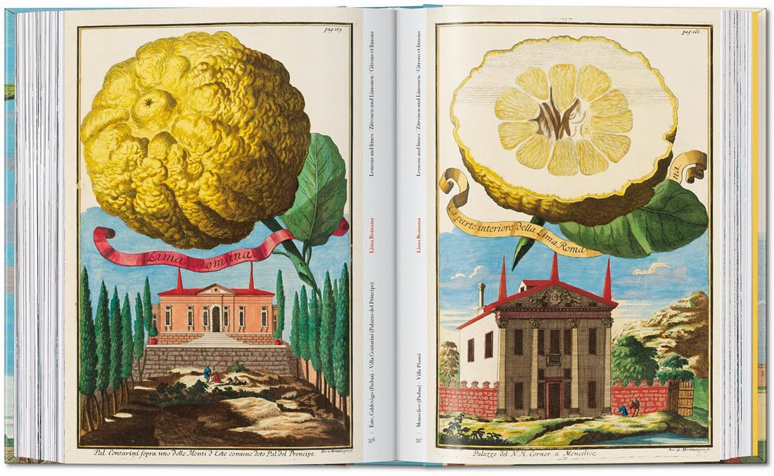 J. C. Volkamer. The Book of Citrus Fruits. 45th Ed.