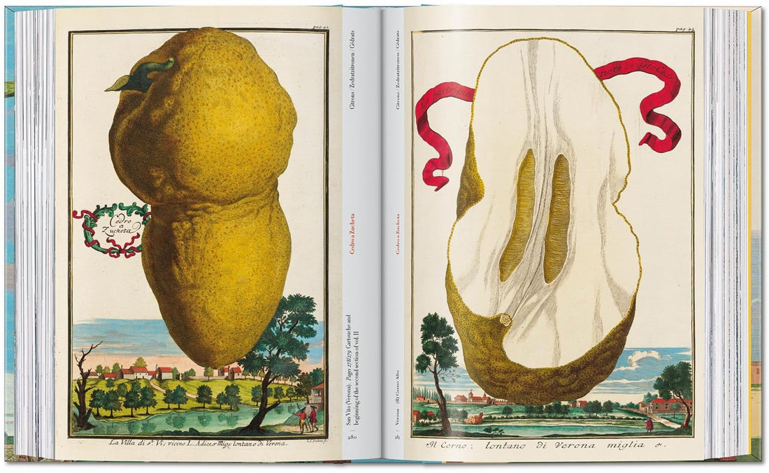 J. C. Volkamer. The Book of Citrus Fruits. 45th Ed.