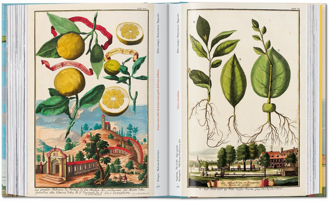 J. C. Volkamer. The Book of Citrus Fruits. 45th Ed.
