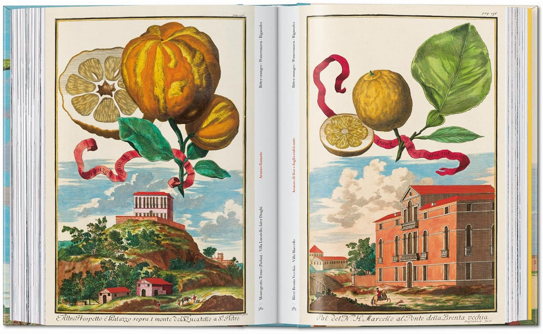 J. C. Volkamer. The Book of Citrus Fruits. 45th Ed.