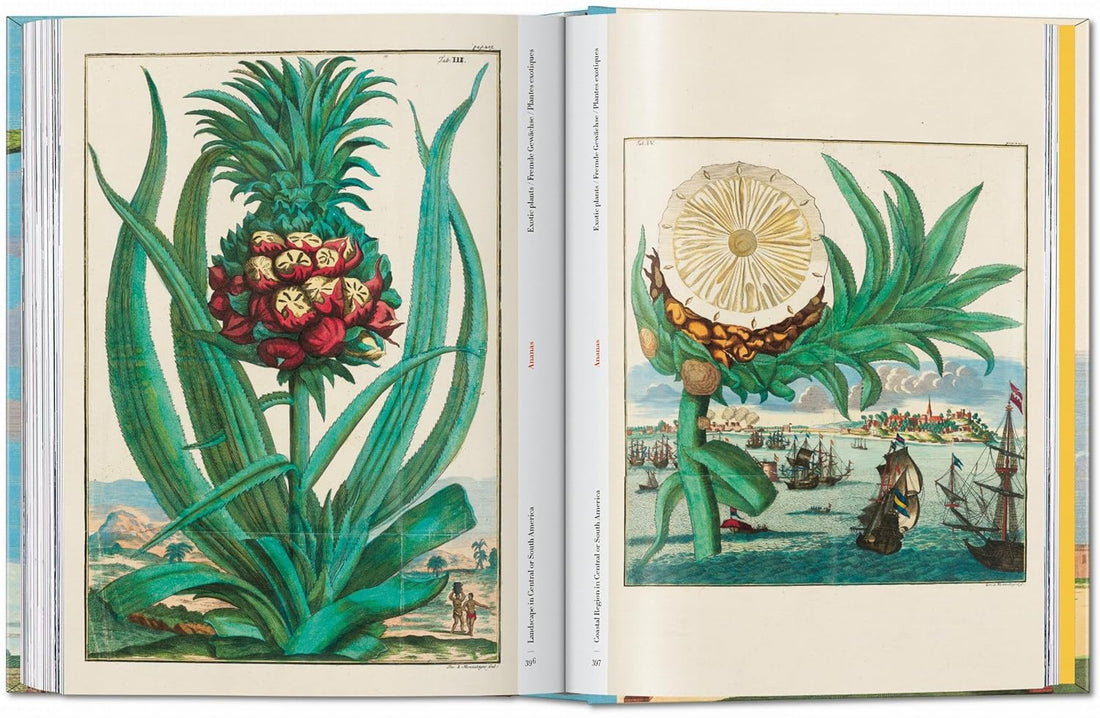 J. C. Volkamer. The Book of Citrus Fruits. 45th Ed.