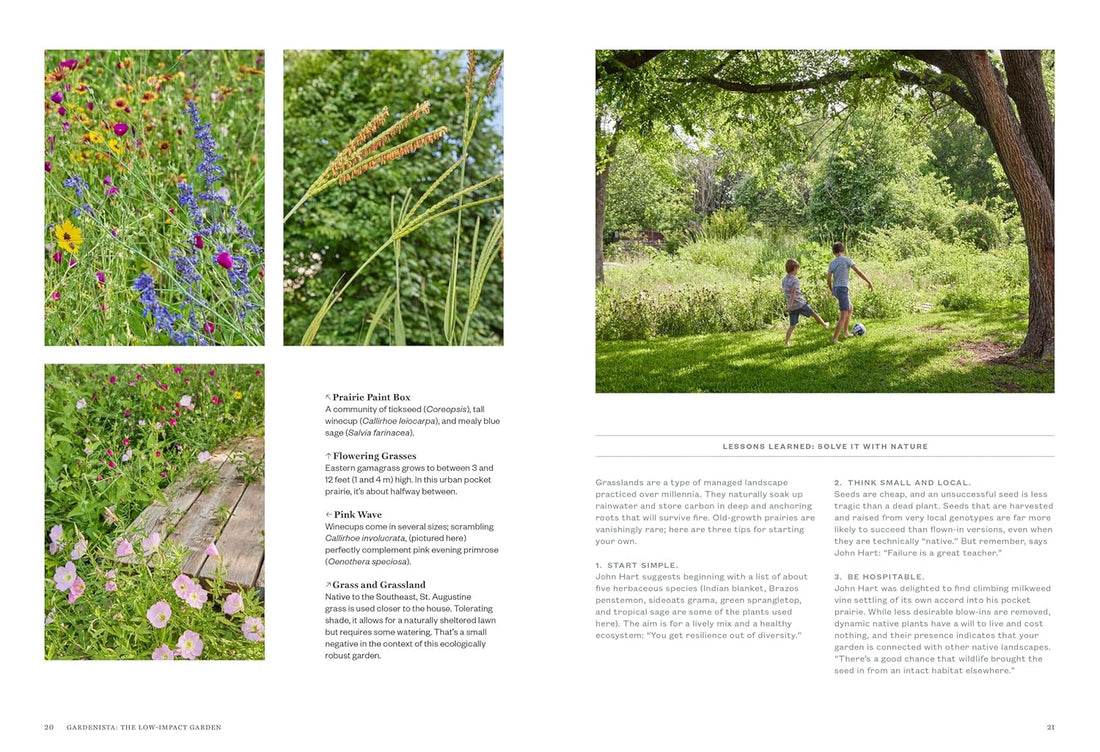 Gardenista: The Low-Impact Garden