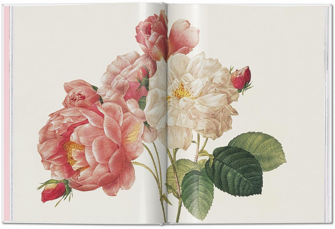 Redouté: Roses; the Complete Plates 1817-1824