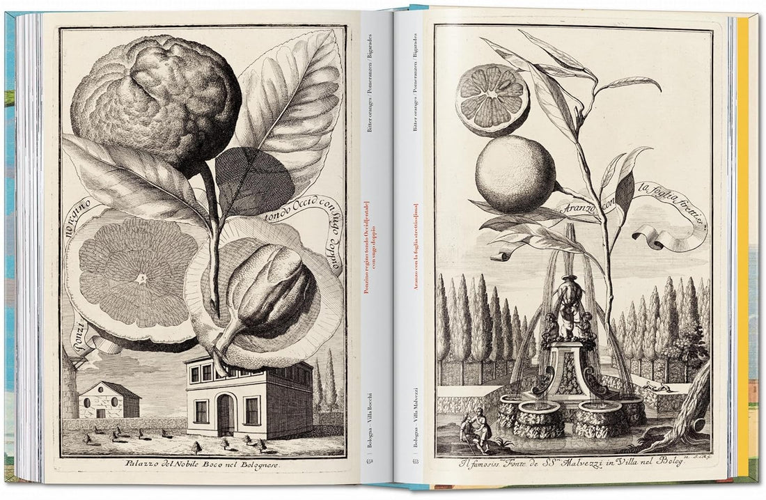 J. C. Volkamer. The Book of Citrus Fruits. 45th Ed.