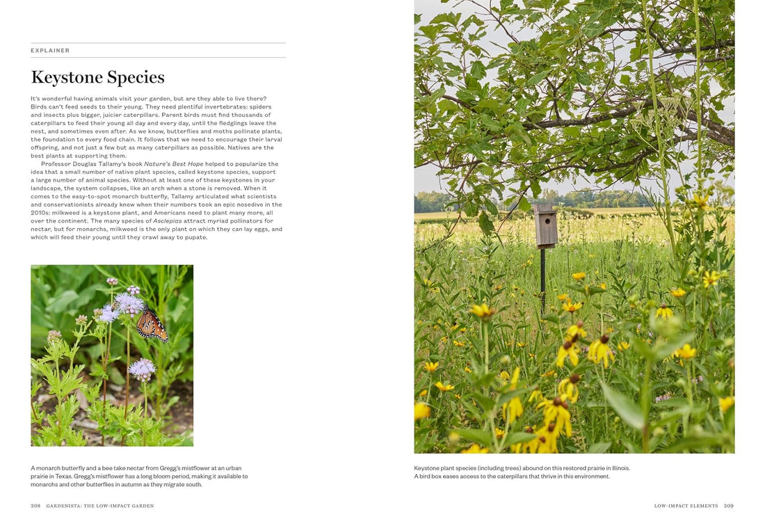 Gardenista: The Low-Impact Garden