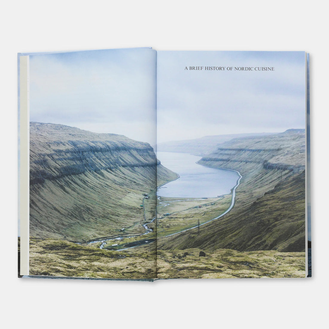 Nordic Cook Book