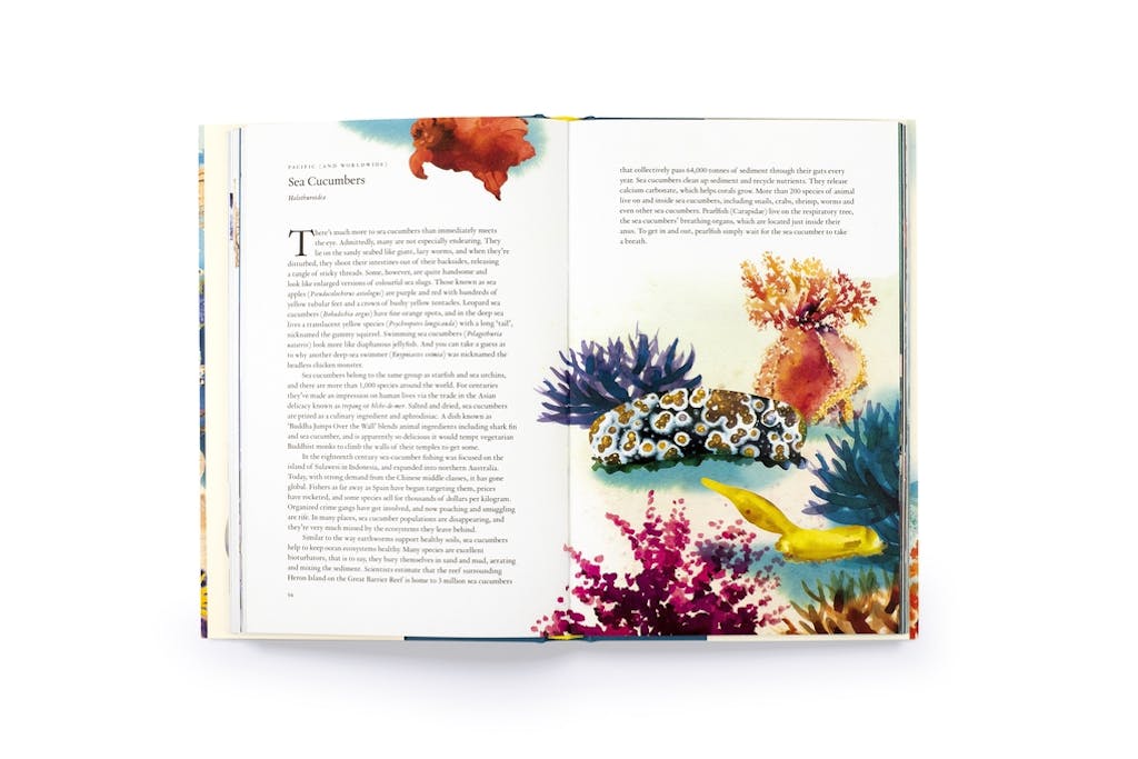 Around the Ocean in 80 Fish and Other Sea Life