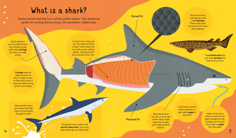 Sharks! Sharks! Sharks!