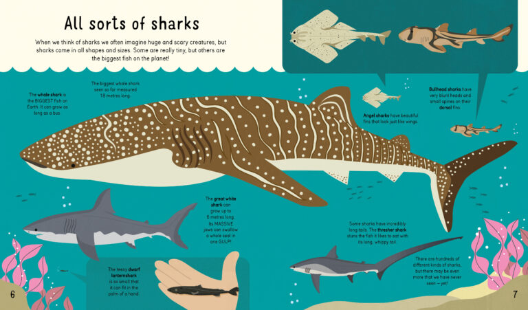 Sharks! Sharks! Sharks!
