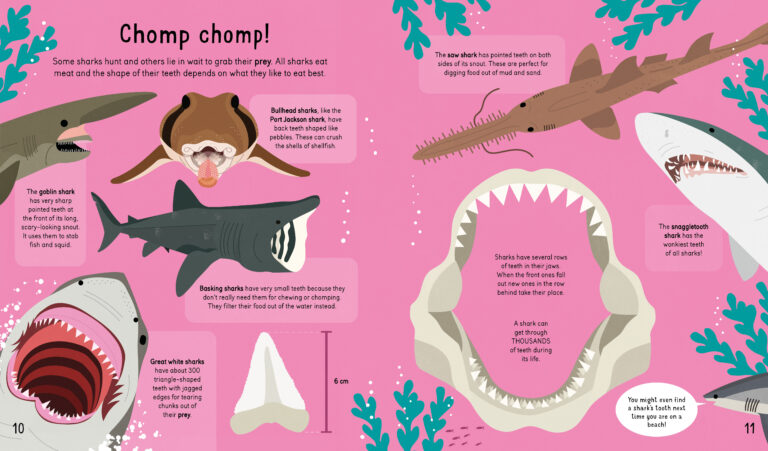 Sharks! Sharks! Sharks!