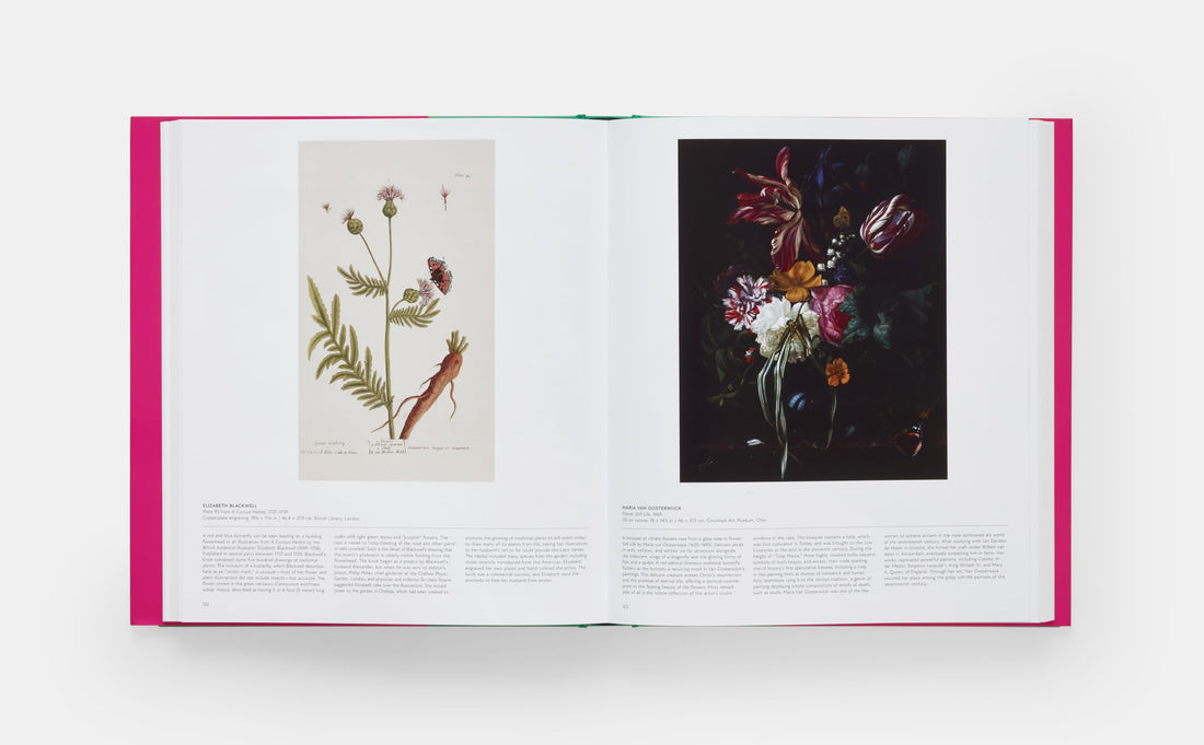 Butterfly: Exploring the World of Lepidoptera