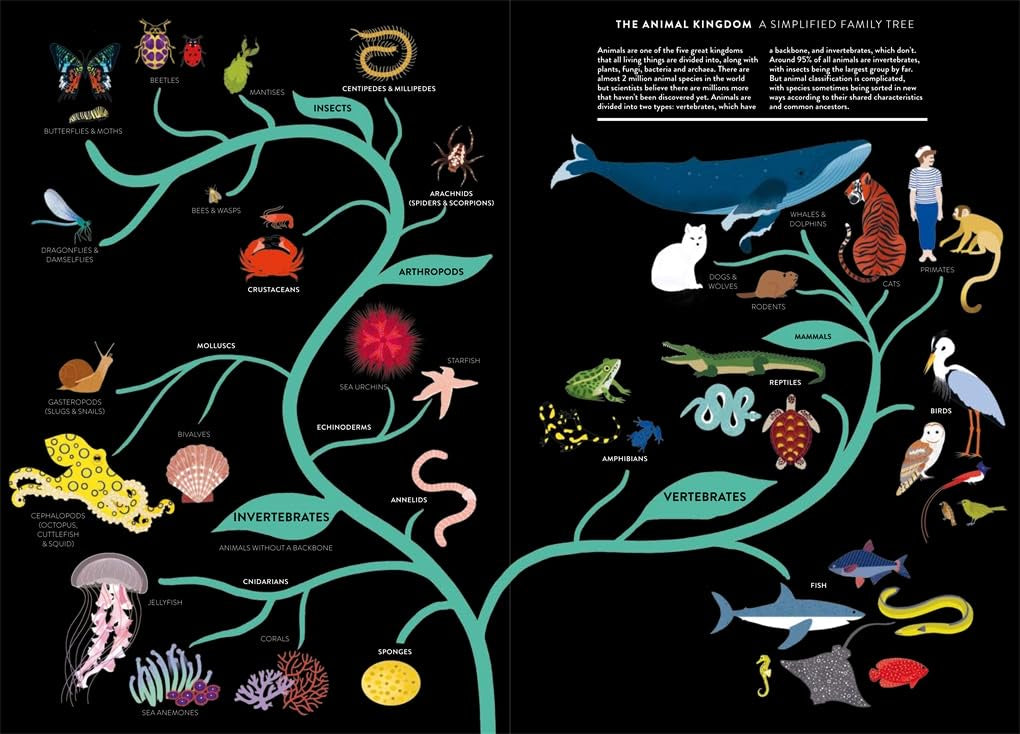 Animal: With lasercuts and flaps throughout
