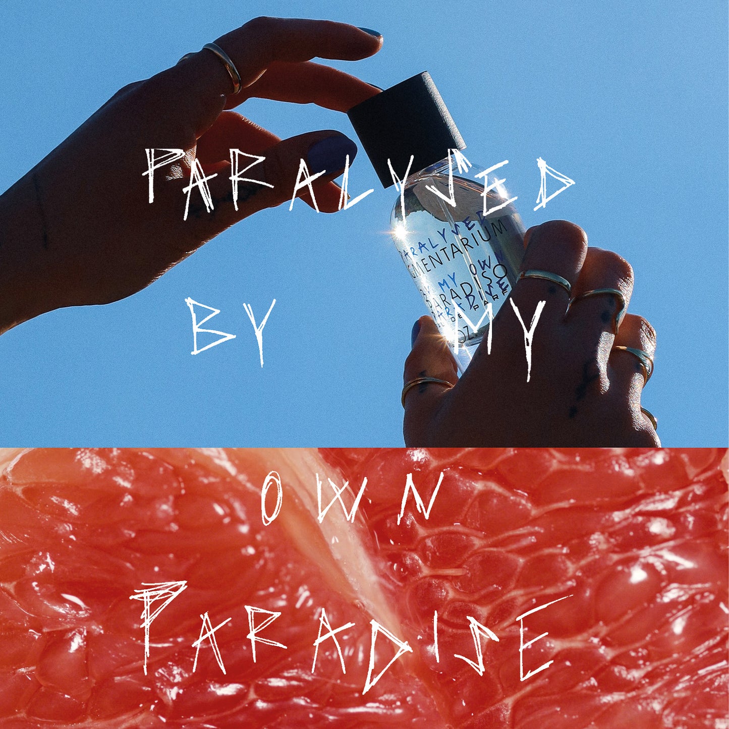Pigmentarium Paradiso Limited Edition Michaela Fenkl