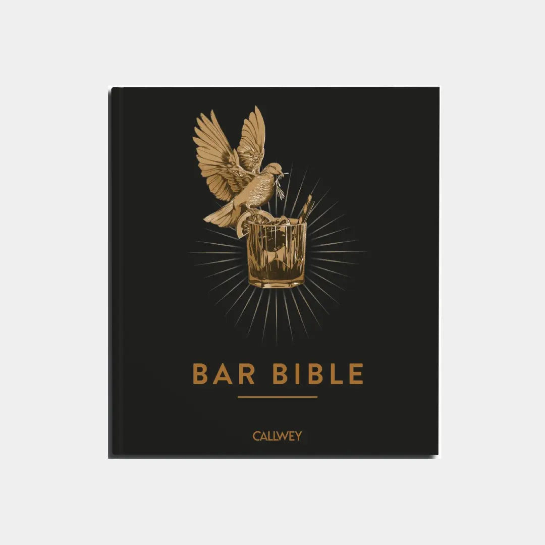 Bar Bible Obálka knihy Book Therapy