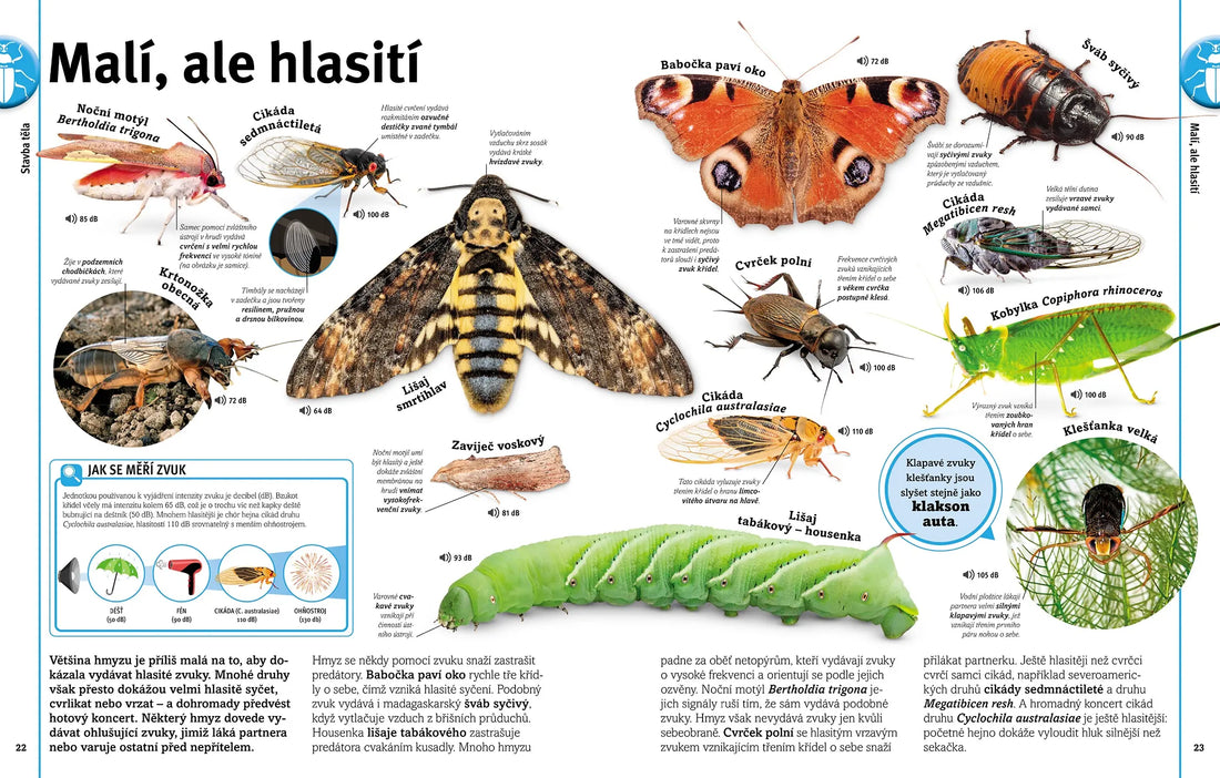 Brouci, motýli, stonožky, štíři a další