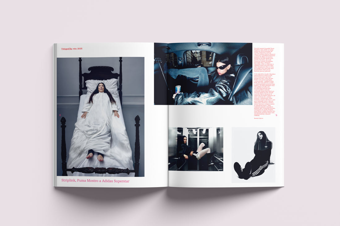 Ročenka českého designu, Ceny Czech Grand Design 2025