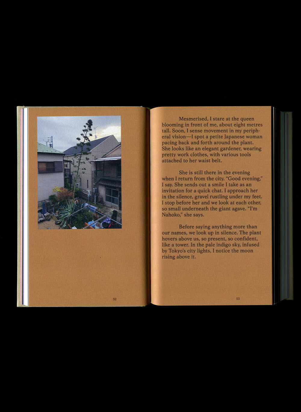 Catalogue of Endings - Katarína Poliačiková