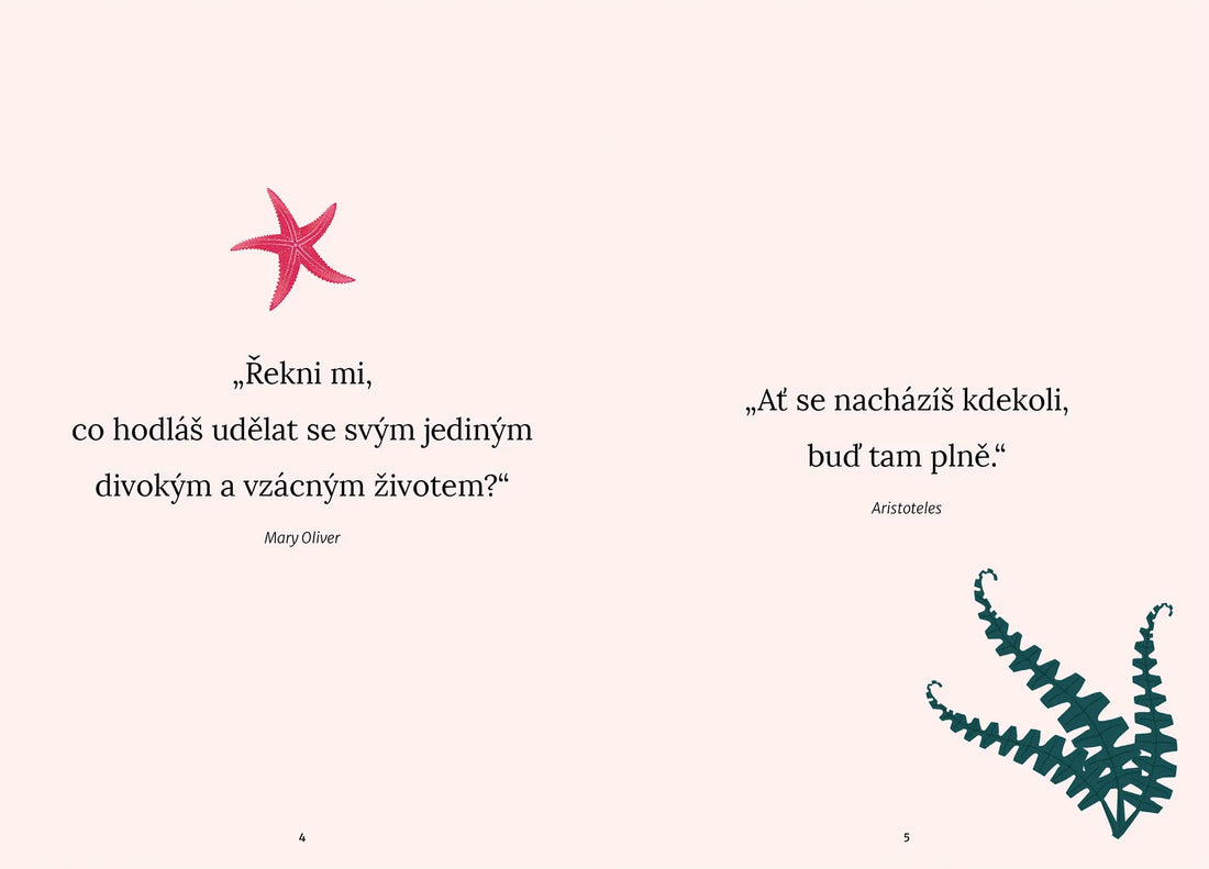 Cesta k mindfulness