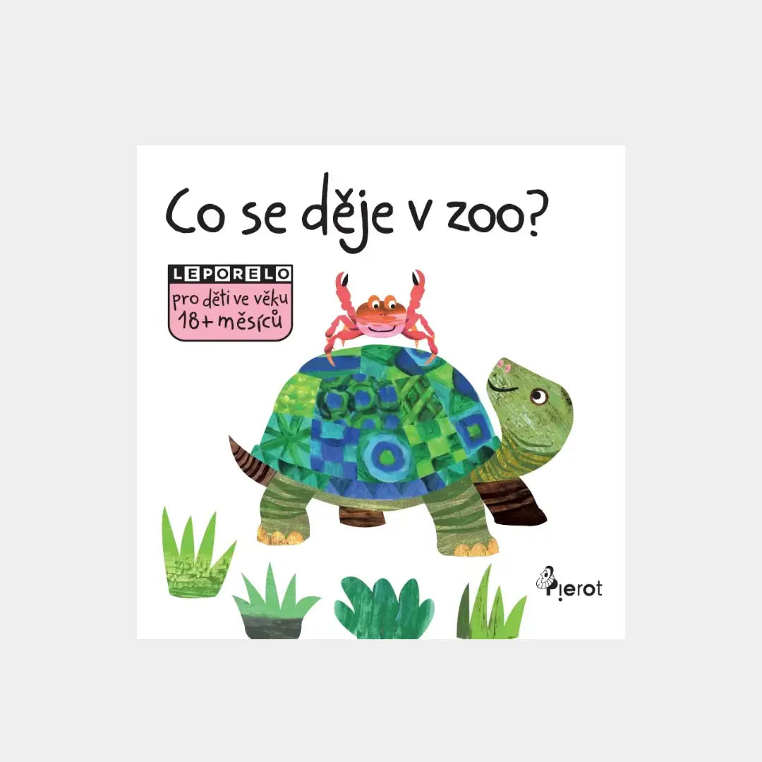 Co se děje v zoo?