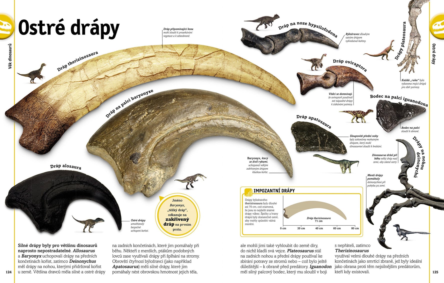 Dinosauři a jiná pravěká zvířata