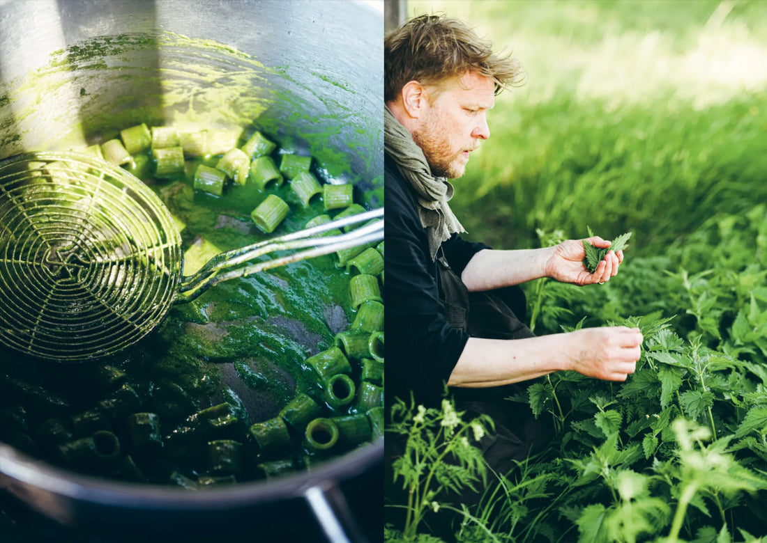 Chef’s Wild Nordic – Recipes for 72 Micro-Seasons