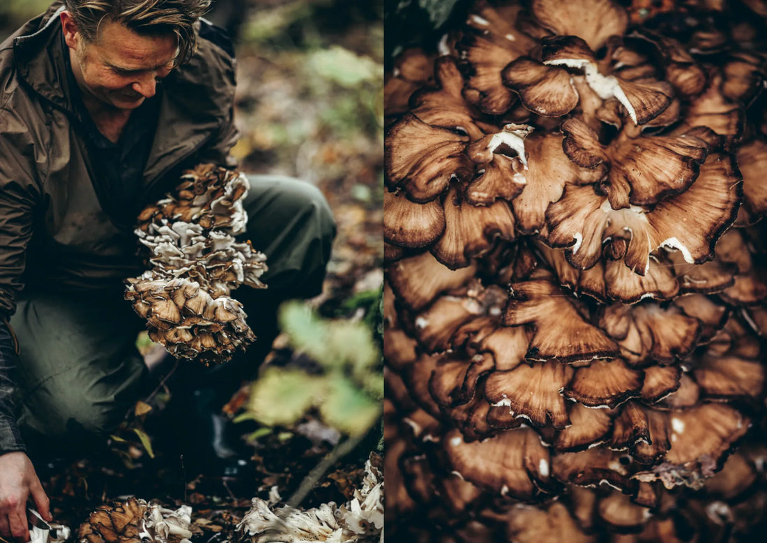 Chef’s Wild Nordic – Recipes for 72 Micro-Seasons