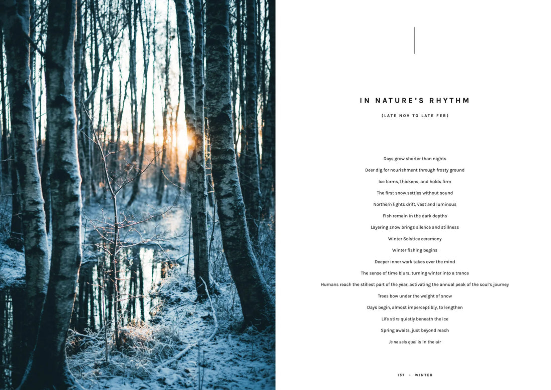 Chef’s Wild Nordic – Recipes for 72 Micro-Seasons