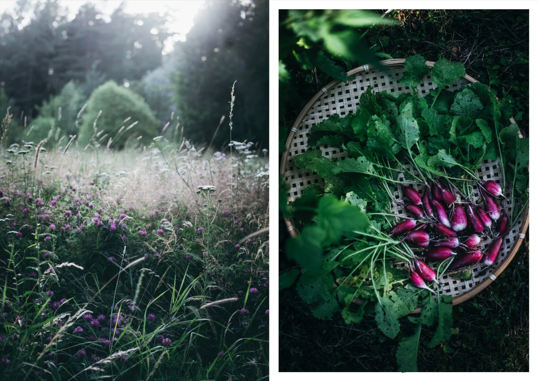 Nordic Summer Cookbook