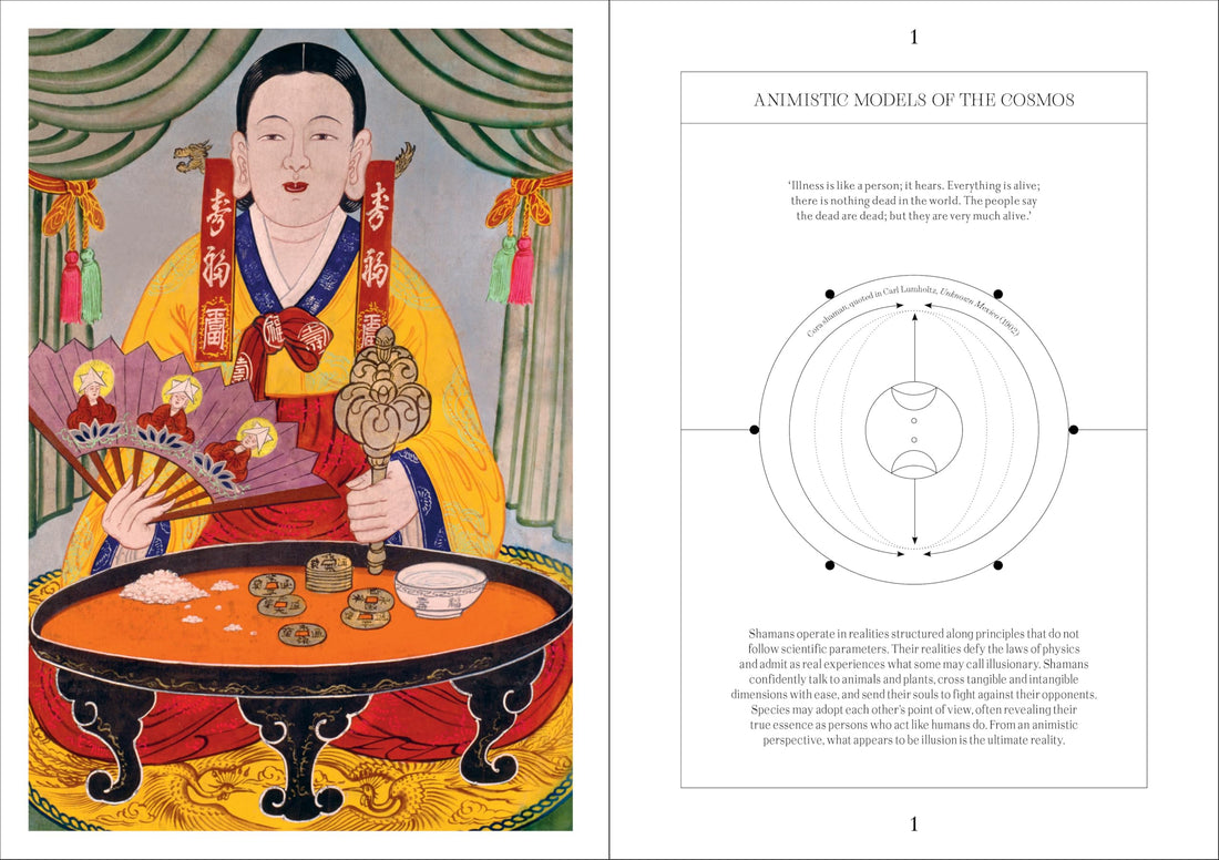 Shamans: The visual culture of animism, healing and journeys to other planes